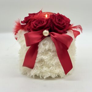 Romantic Valentine ❤️